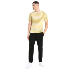 Icebreaker - Drayden S/S Tee Stripe - T-shirt En Laine Mérinos -Vestes Boutique icebreaker drayden s s tee stripe t shirt en laine merinos detail 4