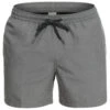 Quiksilver - Everyday Deluxe Volley 15 - Short De Bain